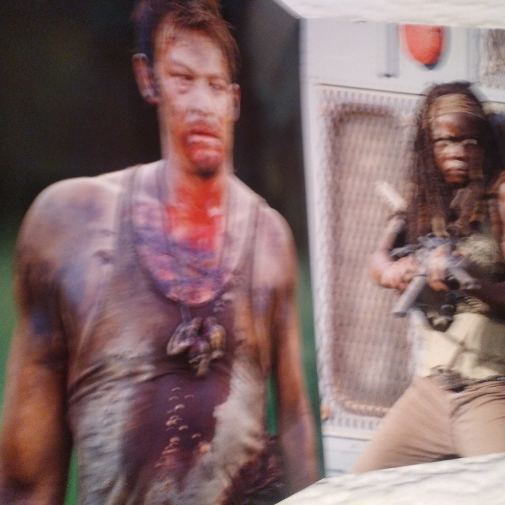 Walking Dead Poster Collection Excellent Condition - Picture 5 of 8